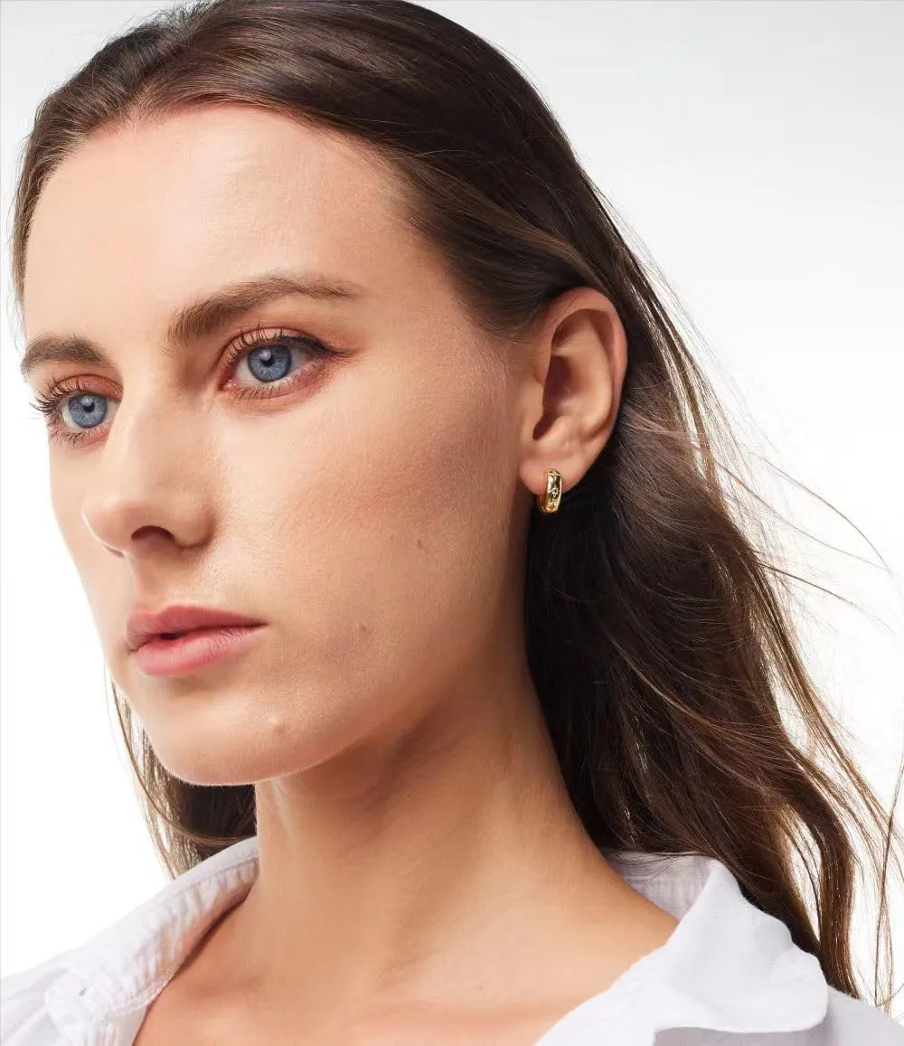 14K Gold Plated Sterling Silver Post Small Chunky Gold Hoop Earrings,Diamond Studded Huggie Earrings for Women 8mm 10mm 12mm
