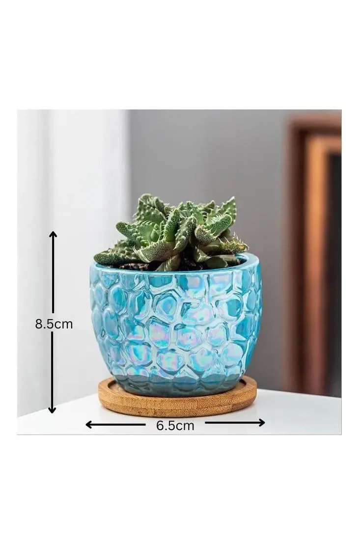 4 Pcs Ceramic Flowerpot Set Succulent Plant Pots Nordic Simple Style Design Planter Cactus Flower Pot With Tray Home Interior Design, Garden Décor Gift (Plants NOT Included)