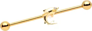 Body Candy Womens 14G PVD Steel Helix Cartilage Earring Nautical Swim Toothy Shark Industrial Barbell 1 1/2"