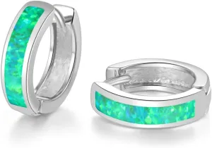 CiNily Huggie Earrings Opal Hinged Hoop Earrings Gold Plated Hypoallergenic Small Hoop Earrings for Women Teen Girls Men Sensitive Ears