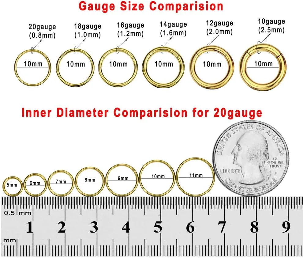 FANSING Men Women 316L Surgical Steel Hinged Nose Rings Hoop for Nostril Septum Cartilage Helix Daith Tragus Rook Conch Lip Ear Lobe Piercings