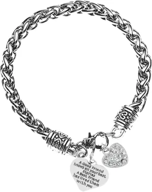 Infinity Collection Silver Plated Stainless Steel Wheat Spiga Bracelet  A Good Friend Knows All Your Best Stories Charm, Sparkling Heart Accent, Friendship Gift for Women, Best Friend Jewelry