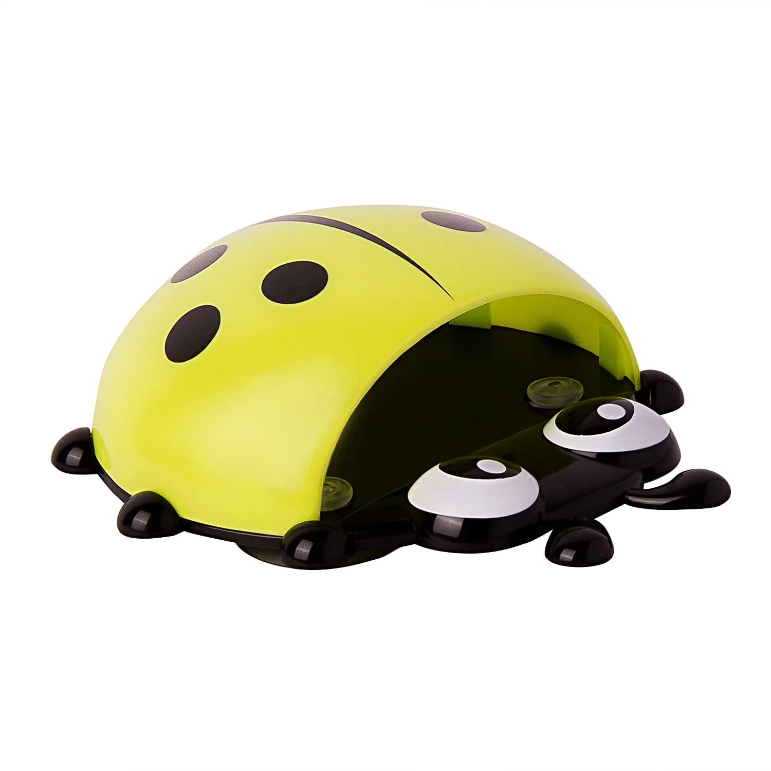 Ladybug Green Toothbrush Holder