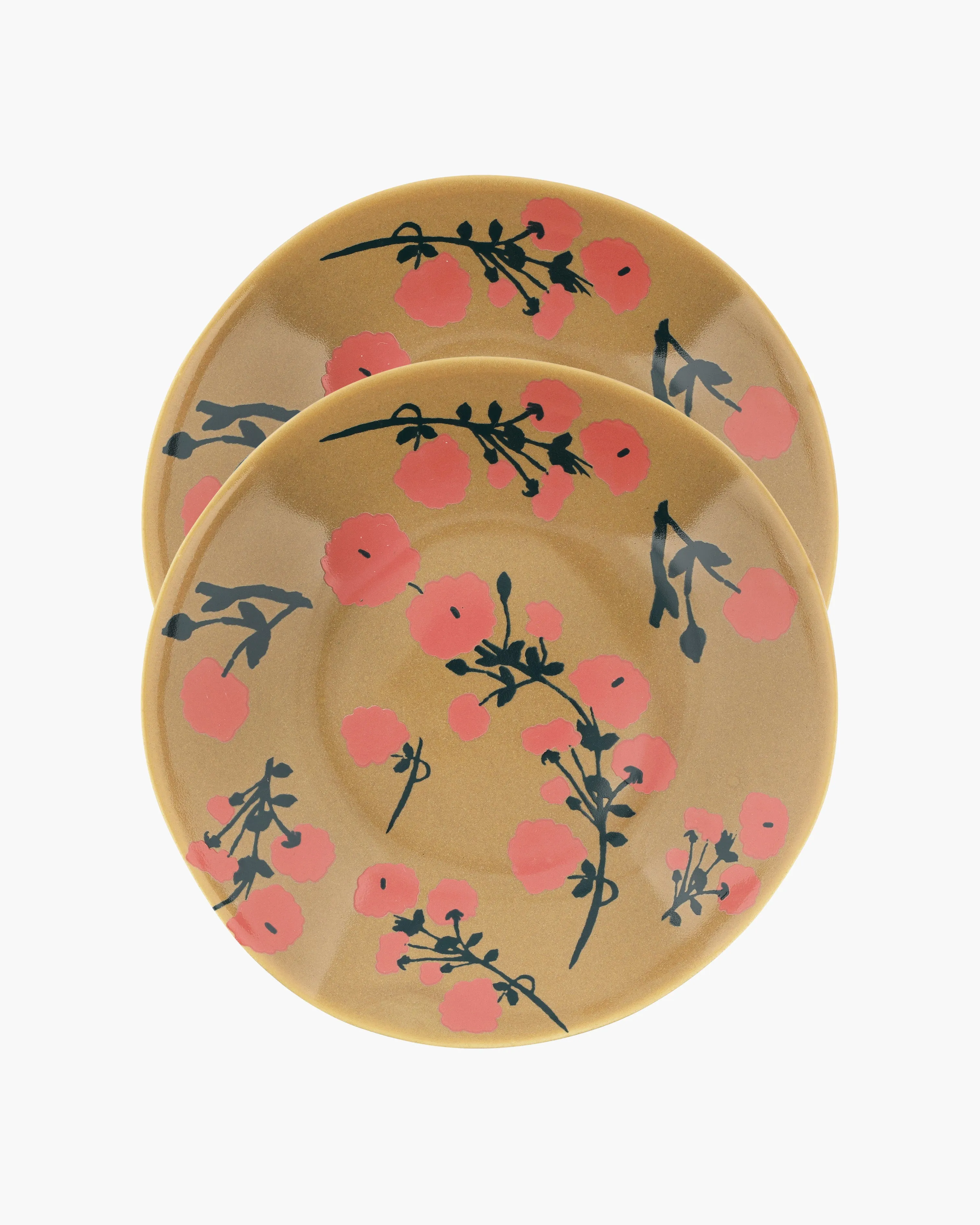 Set of 2 Dinner Plates