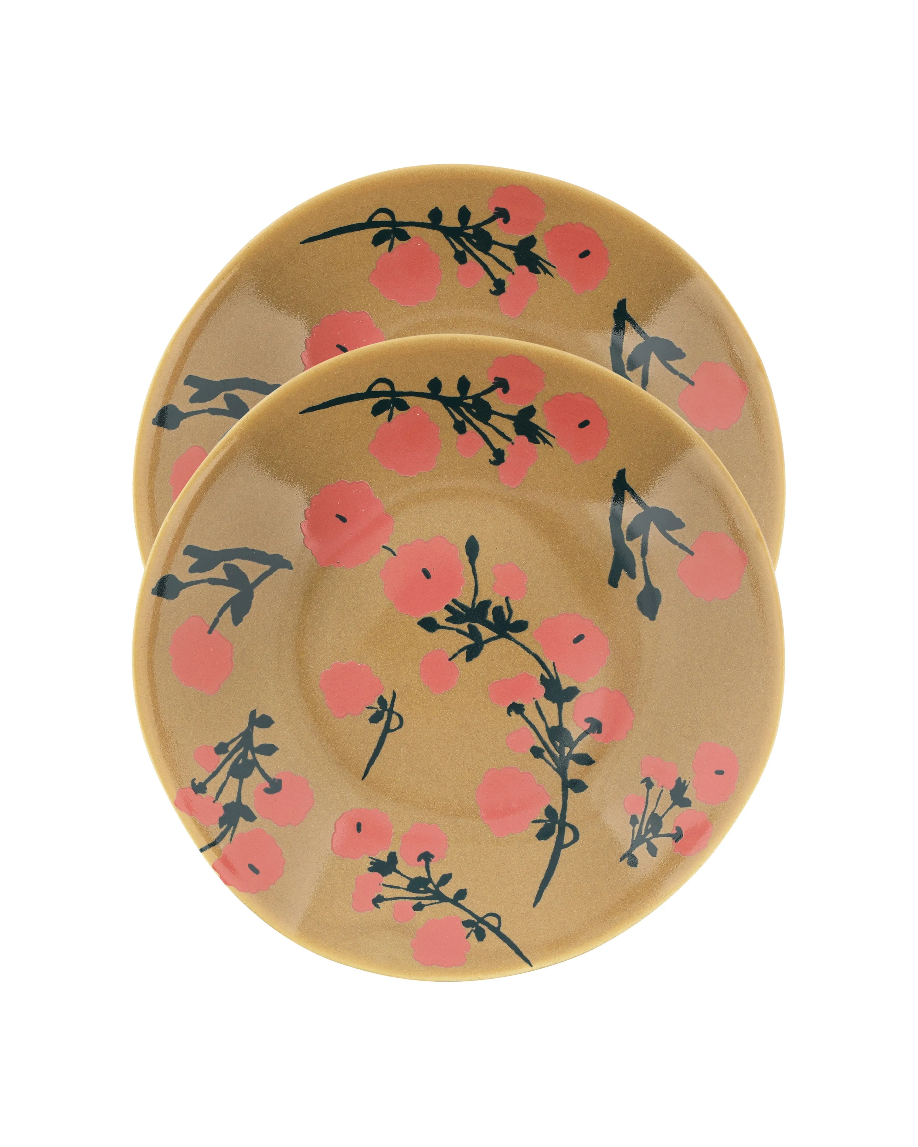 Set of 2 Dinner Plates